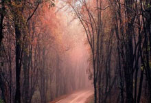 熊猫体育:德约百冠梦想未竟,门希克捧杯,05后首成大师.