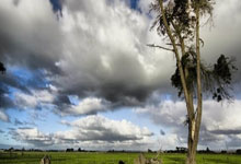 熊猫体育:德约百冠梦想未竟,门希克捧杯,05后首成大师.