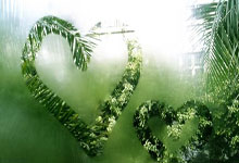 网传判决书:孙准浩与金敬道下注并操纵比赛,前者再收40万好处费.