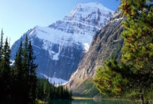 狂轰52+10+8+5断+12记3分!库里刷爆纪录,勇士轻取灰熊升西部第5.