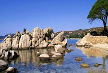 今夏合同到期!矣进宏:两年结束又是新的开始 不会离开篮球.